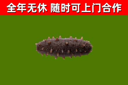 鹿城区烟酒回收干海参.jpg